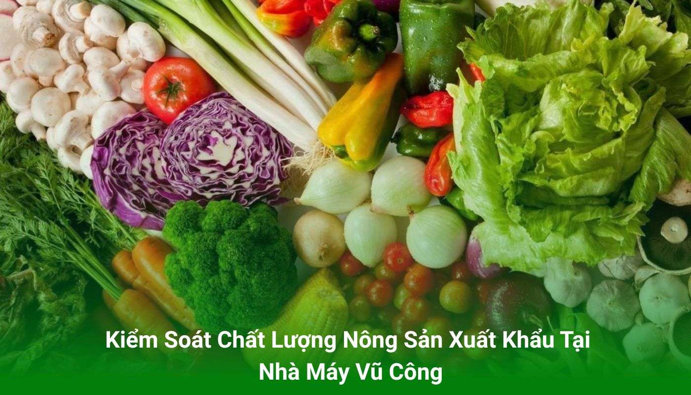 Kiểm Soát Chất Lượng Nông Sản Xuất Khẩu Tại Vũ Công