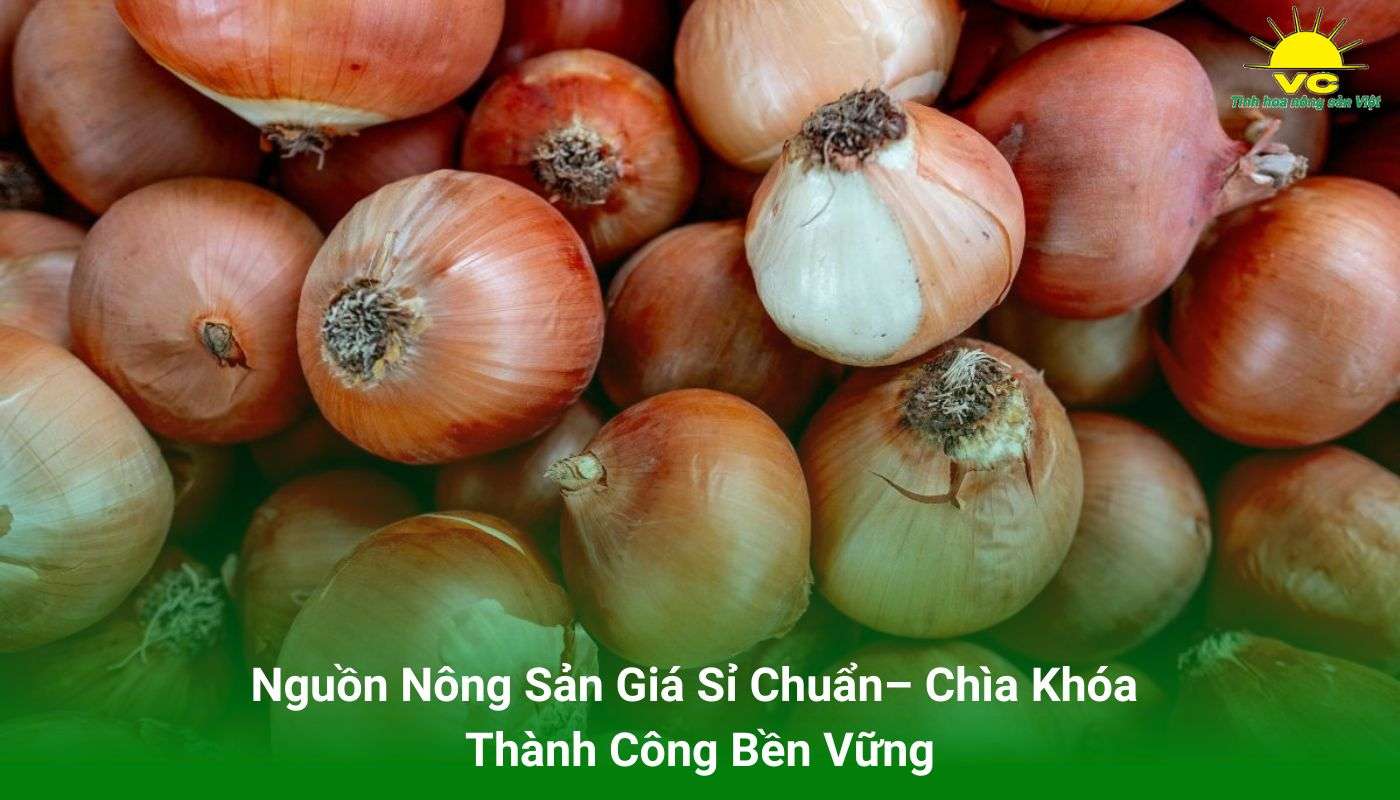 Nguồn Nông Sản Giá Sỉ Chuẩn– Chìa Khóa Thành Công Bền Vững