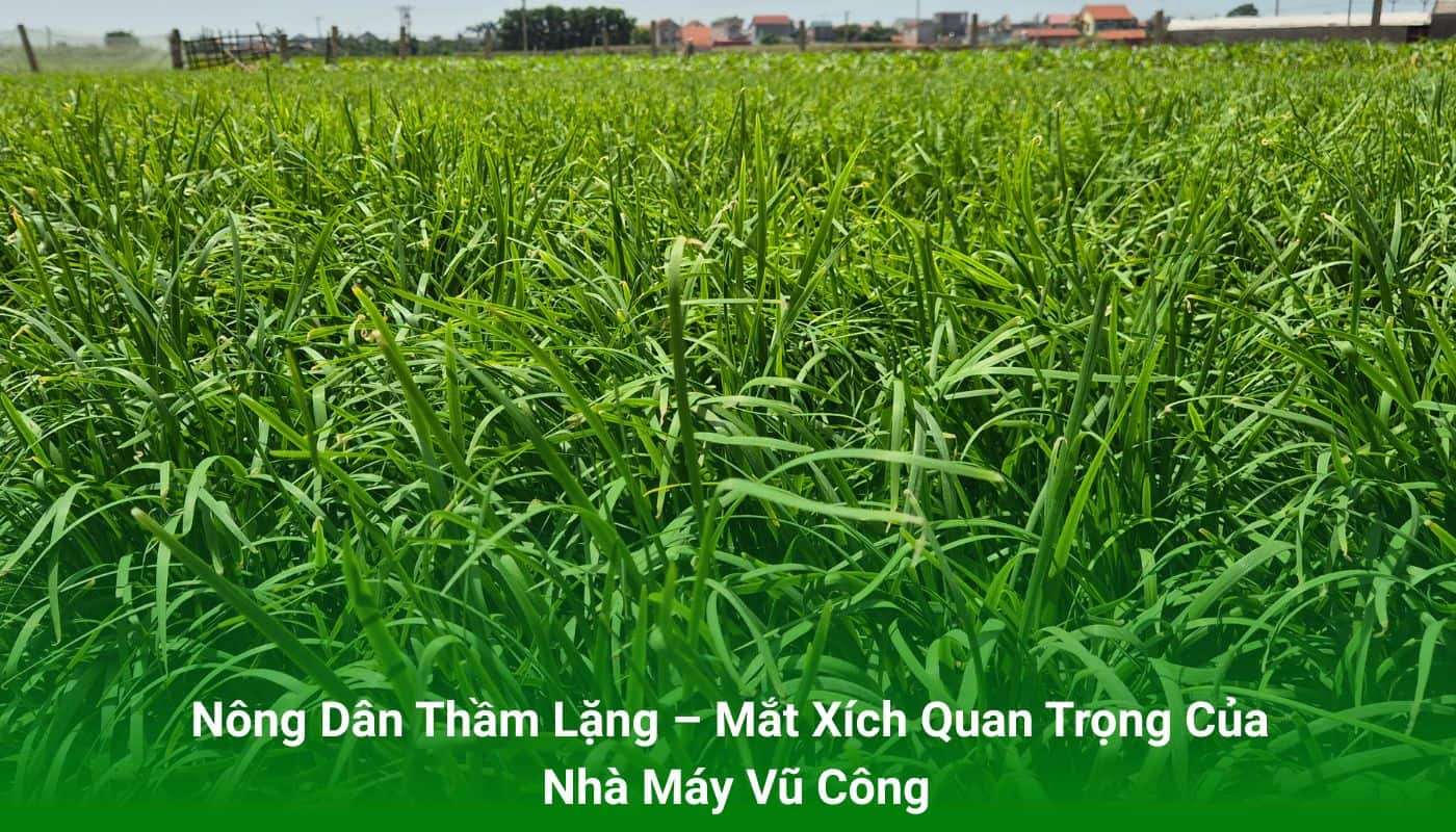 Nhà Máy Vũ Công – Vai Trò Những Người Nông Dân Thầm Lặng