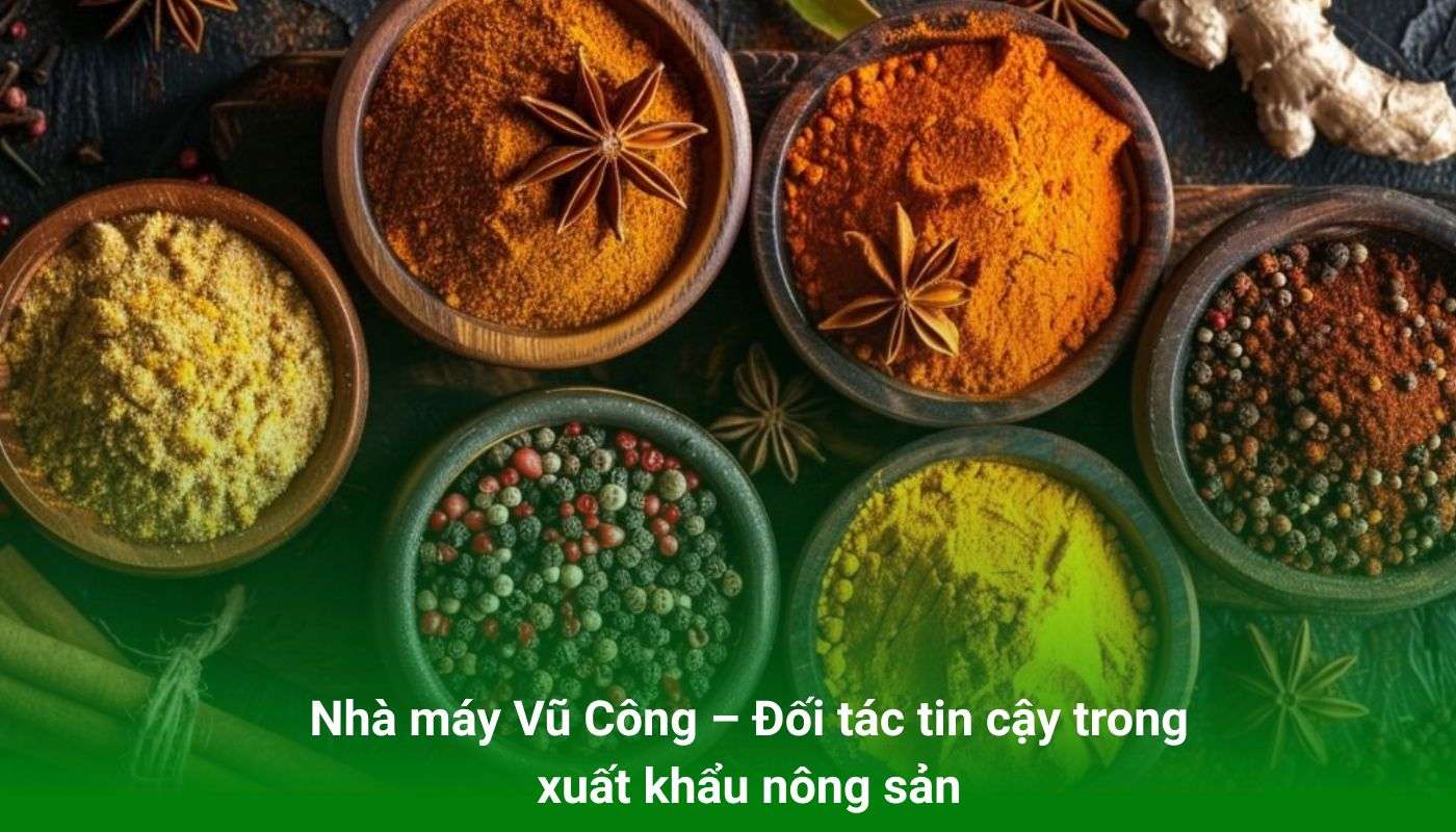Nhà máy Vũ Công – Đối tác tin cậy trong xuất khẩu nông sản