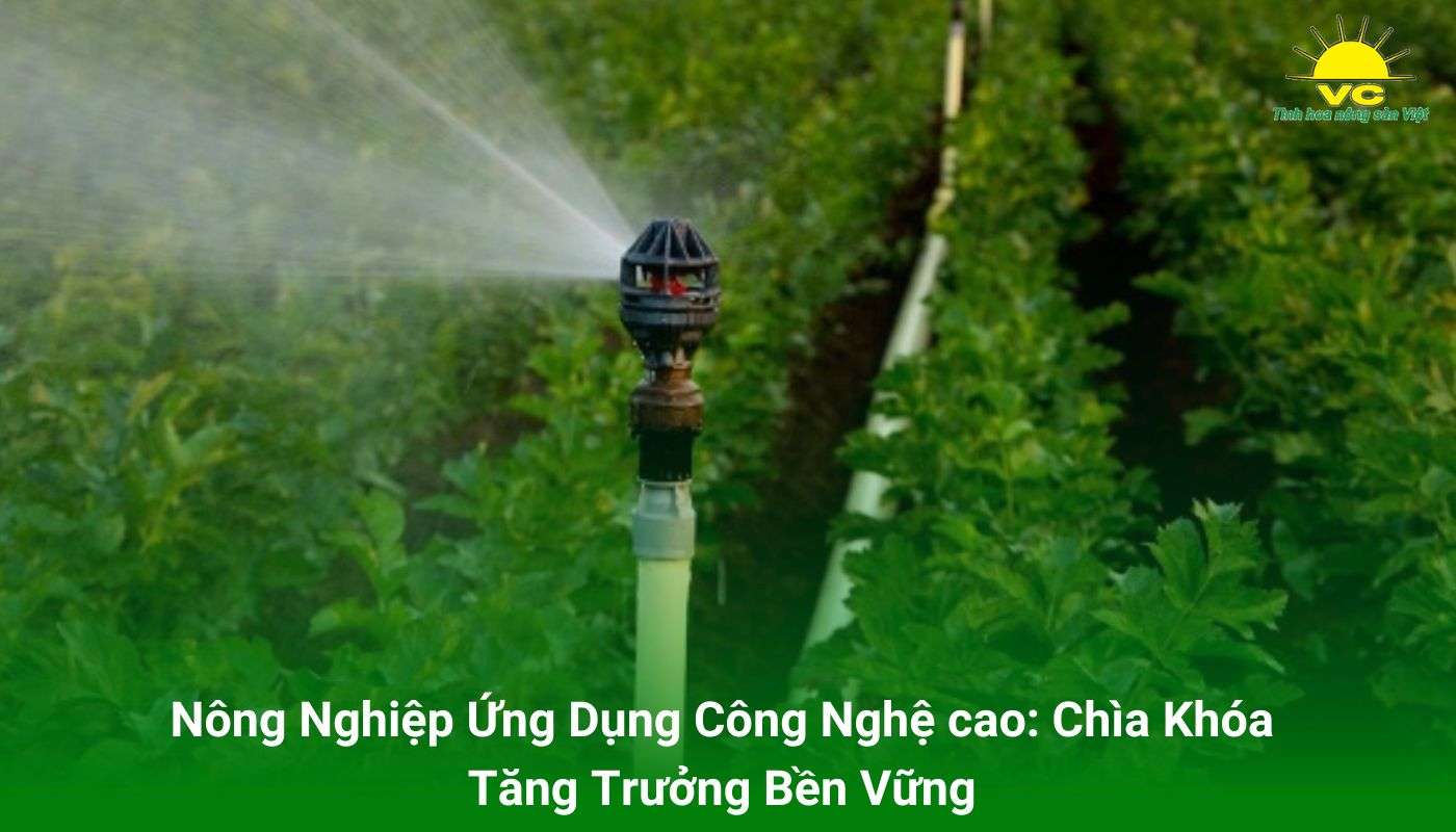 Nông Nghiệp Ứng Dụng Công Nghệ cao: Chìa Khóa Tăng Trưởng Bền Vững