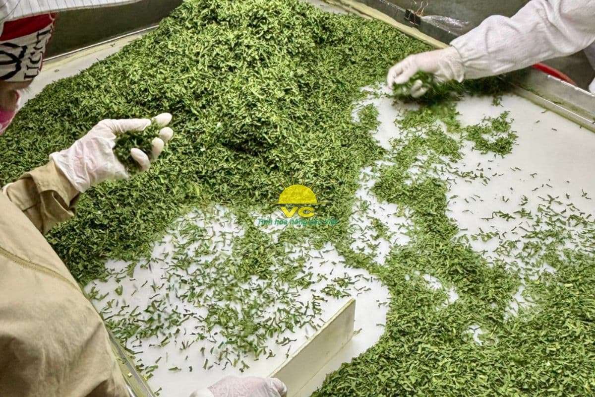 Kiểm Soát Chất Lượng Nông Sản Xuất Khẩu Tại Vũ Công