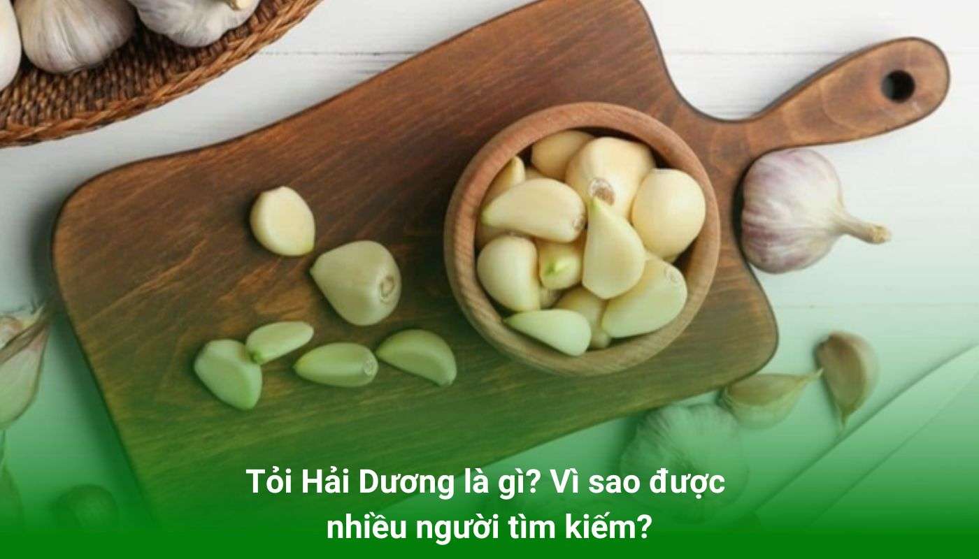 Tỏi Hải Dương là gì? Vì sao được nhiều người tìm kiếm?