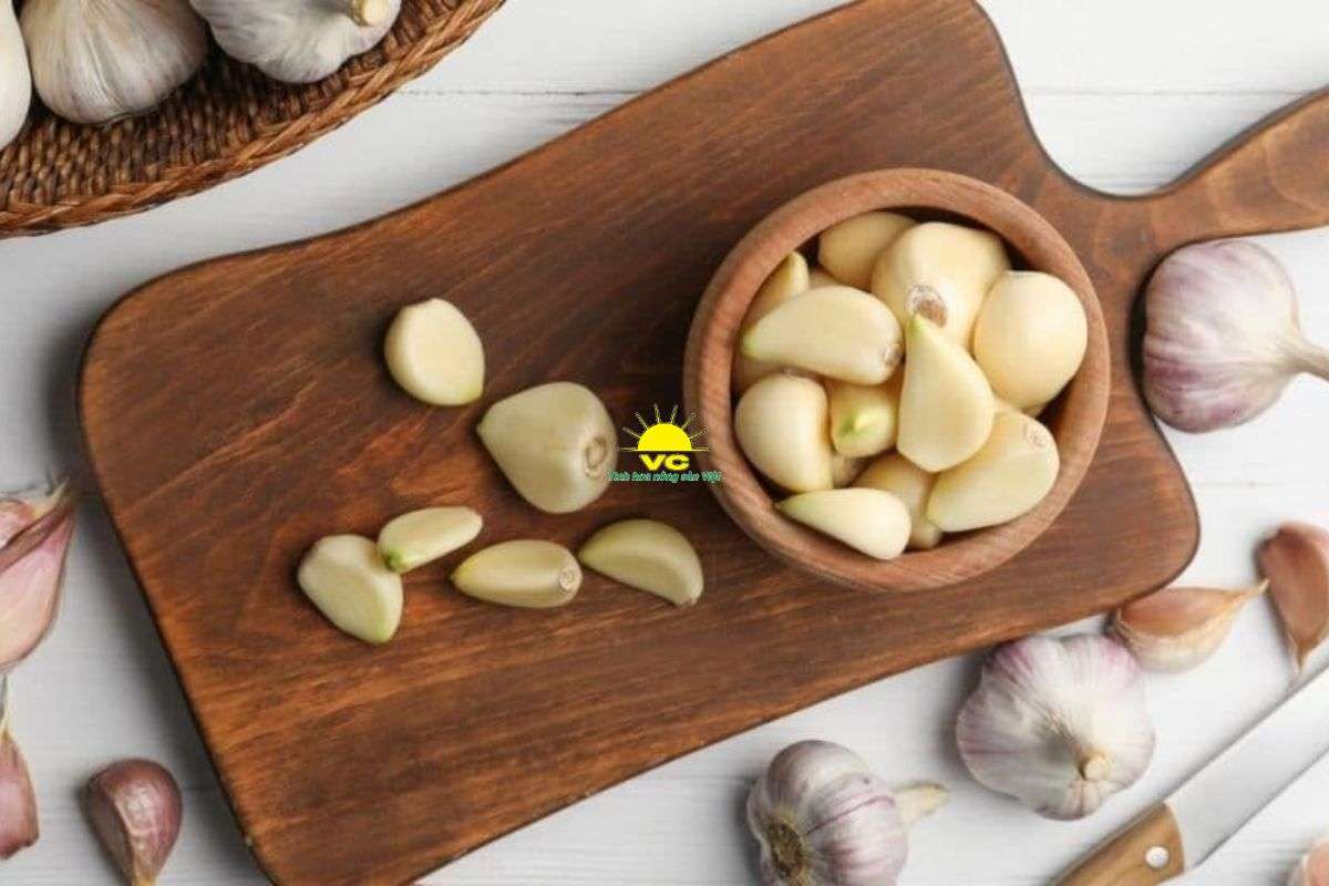 Tỏi Hải Dương là gì? Vì sao được nhiều người tìm kiếm?
