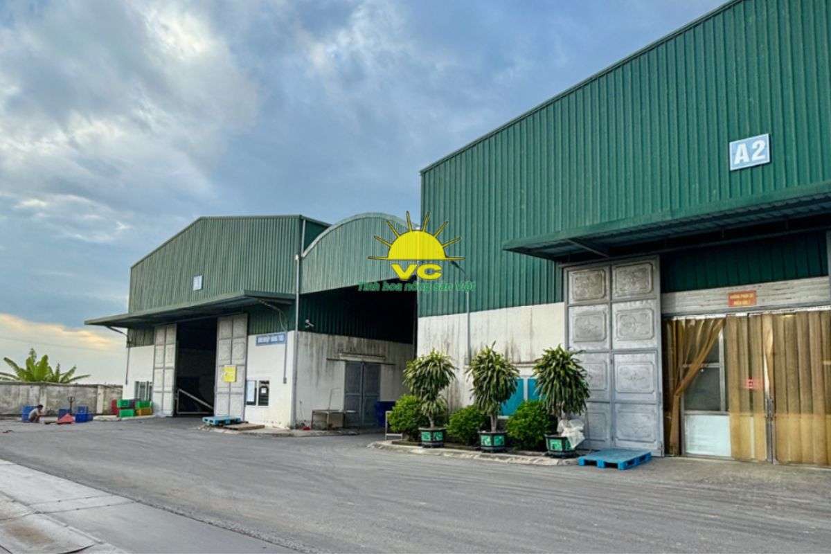 Công ty Vũ Công góp phần giải bài toán “được mùa mất giá” cho nông dân như thế nào?