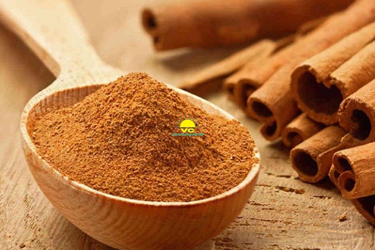 Sử Dụng Vỏ Quế Khô Sao Cho Hiệu Quả? Những Điều Bạn Cần Biết