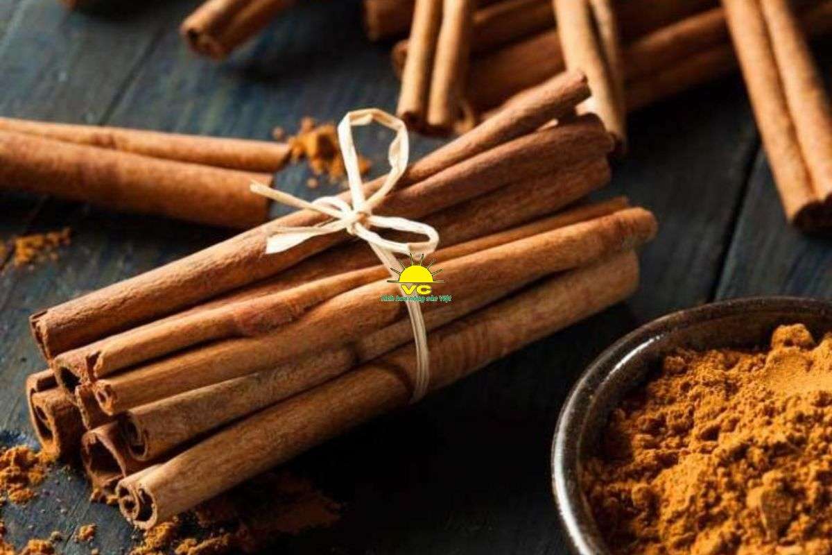 Sử Dụng Vỏ Quế Khô Sao Cho Hiệu Quả? Những Điều Bạn Cần Biết