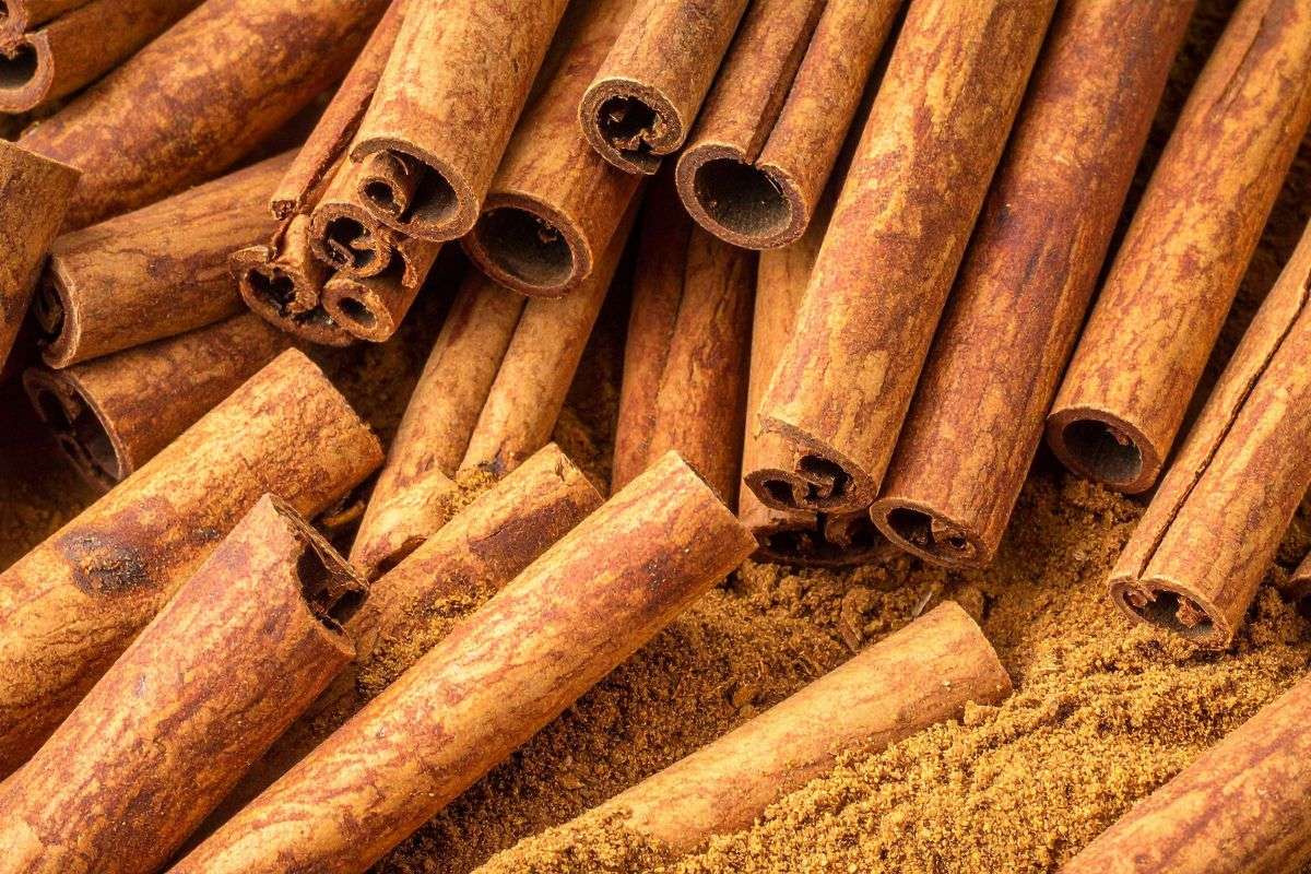 Ceylon Cinnamon vs Vietnamese Cinnamon: Which One Should You Actually Use?