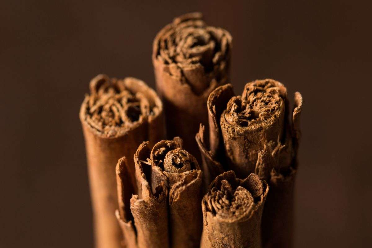 Ceylon Cinnamon vs Vietnamese Cinnamon: Which One Should You Actually Use?