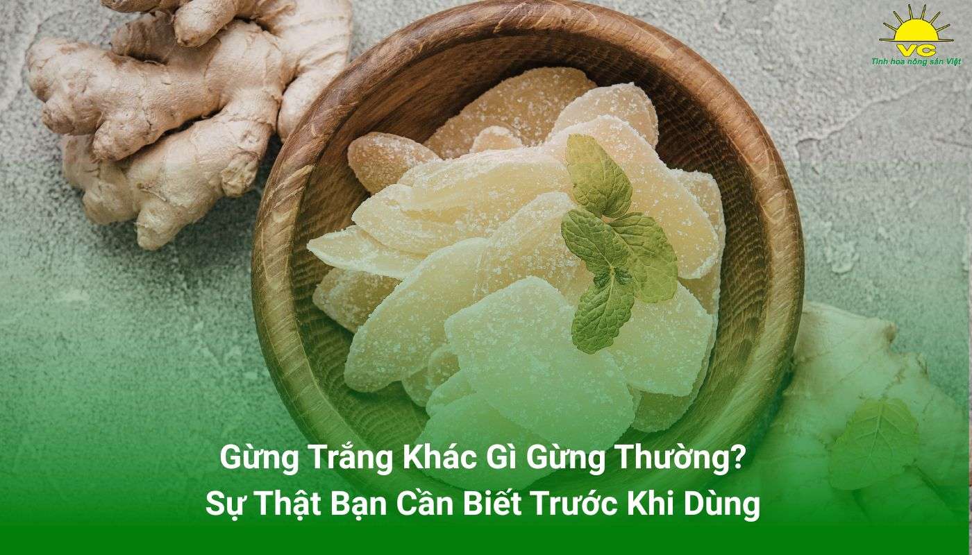 Gừng Trắng Khác Gì Gừng Thường? Sự Thật Bạn Cần Biết Trước Khi Dùng