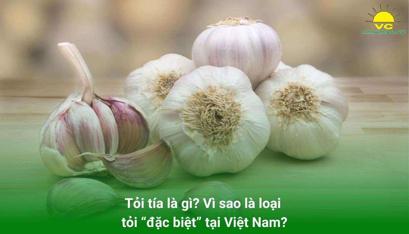 Tỏi tía là gì? Vì sao là loại tỏi “đặc biệt” tại Việt Nam?
