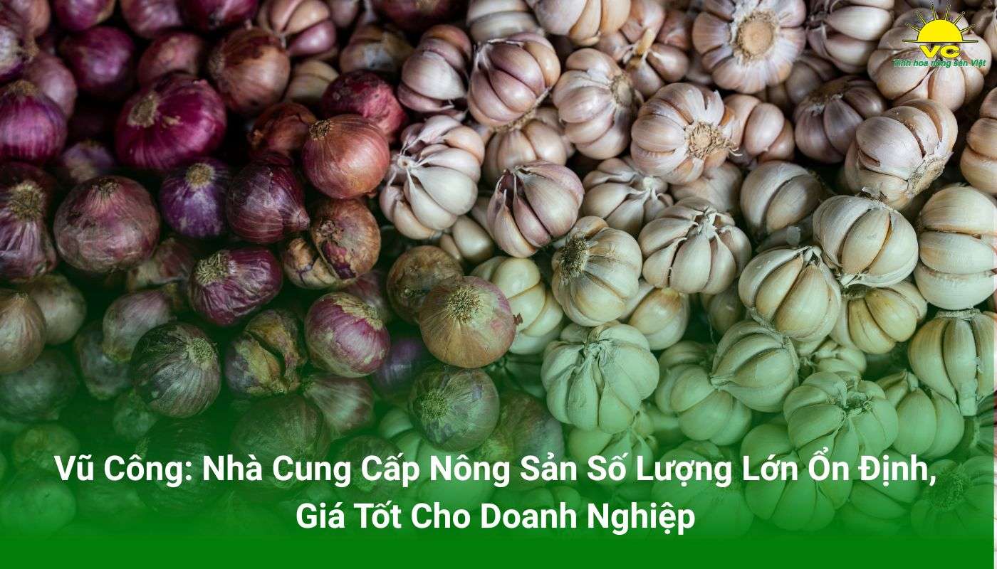 Vũ Công: Nhà Cung Cấp Nông Sản Số Lượng Lớn Ổn Định, Giá Tốt Cho Doanh Nghiệp