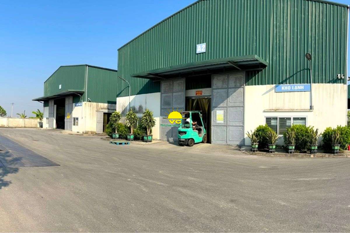 Vai trò của nhà máy Vũ Công trong thúc đẩy tiêu thụ nông sản nội địa giữa biến động toàn cầu