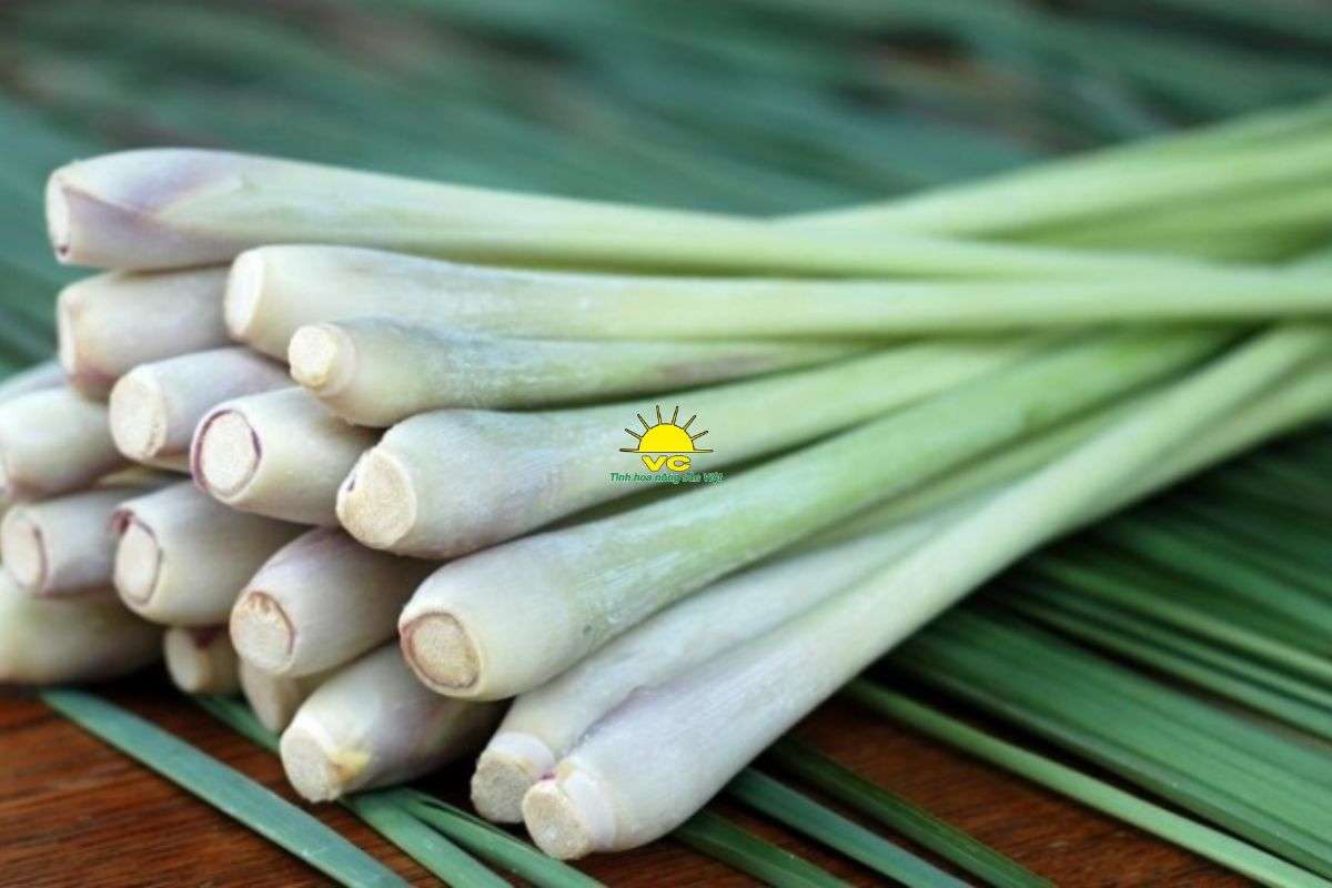 Sả sấy khô