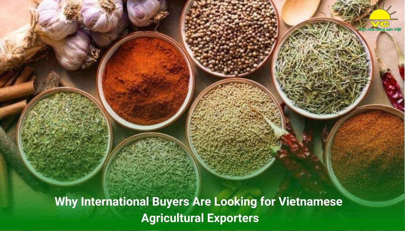 Why International Buyers Are Looking for Vietnamese Agricultural Exporters