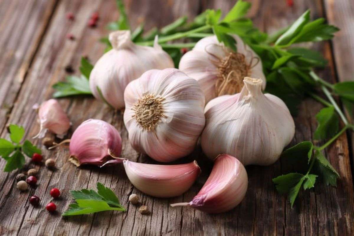 Vu Cong Factory– Leading Dried Garlic Supplier & Exporter in Vietnam