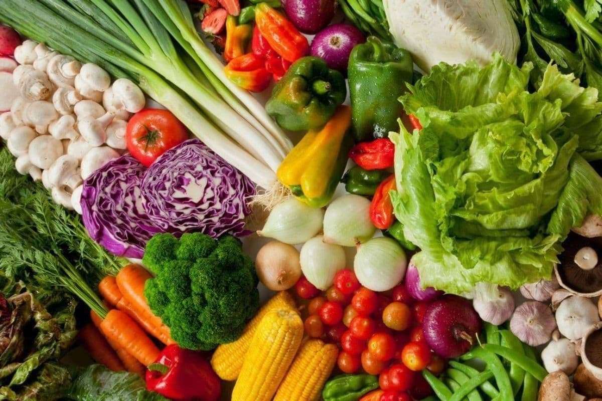 Vu Cong Company – A Trusted Vietnam Agricultural Products Supplier