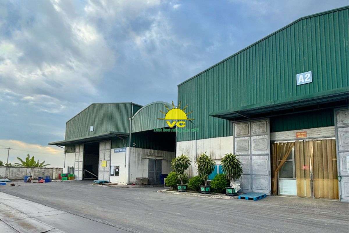 Khi xuất khẩu gặp khó, nhà máy Vũ Công thúc đẩy tiêu thụ nội địa để giữ nhịp sản xuất nông nghiệp