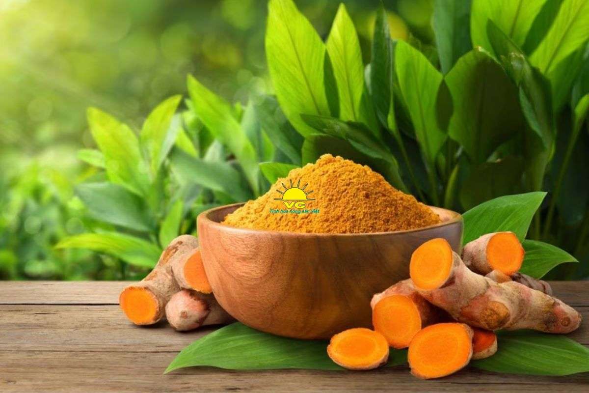 Vu Cong Factory – Trusted Turmeric Powder Manufacturer in Vietnam