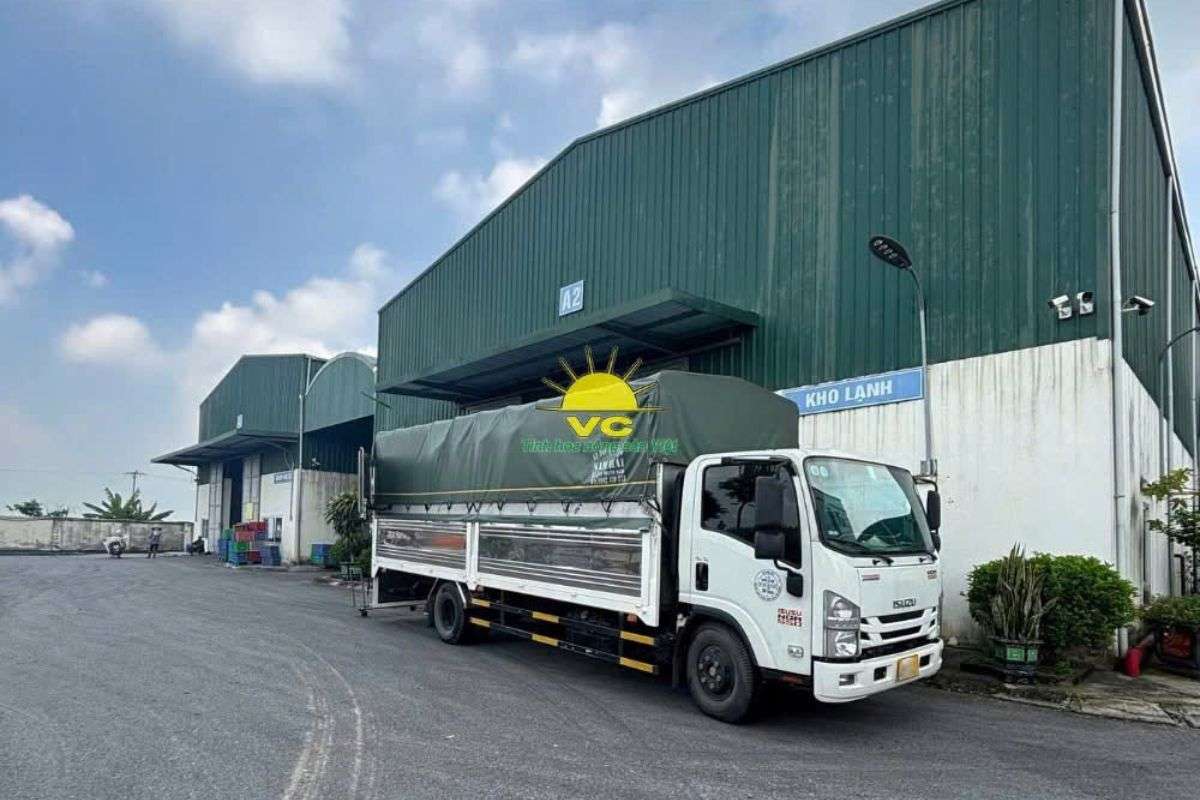 Vu Cong Factory – Trusted Turmeric Powder Manufacturer in Vietnam