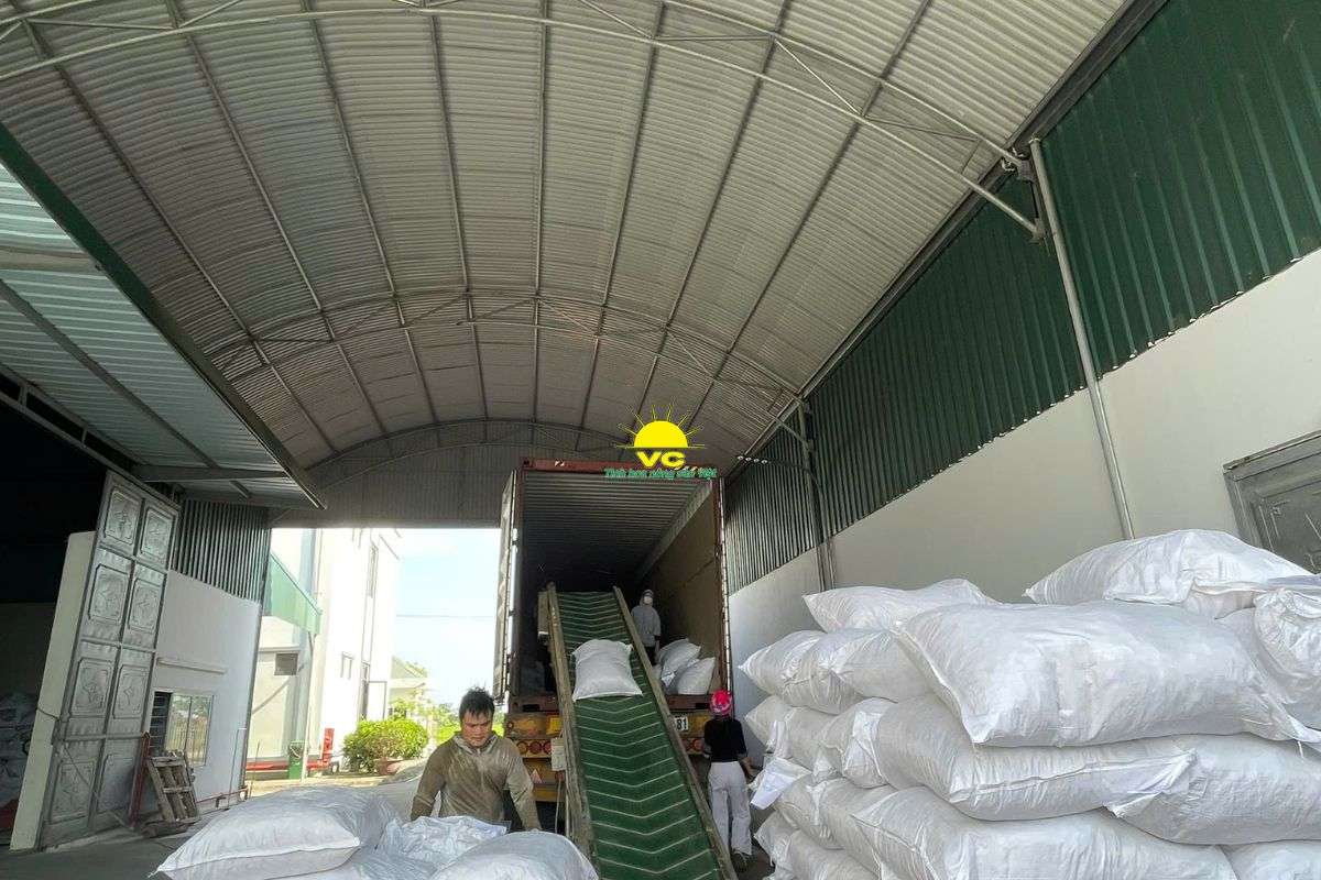 Bulk Agricultural Products Vietnam: A Complete Sourcing Guide for Global Buyers