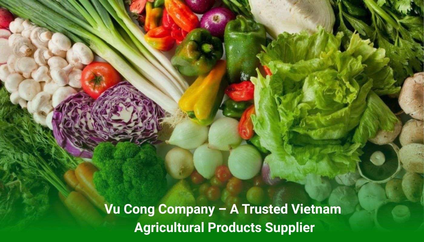 Vu Cong Company – A Trusted Vietnam Agricultural Products Supplier