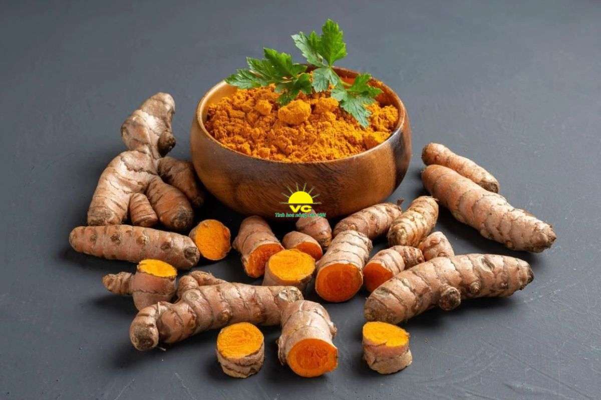 Vu Cong Factory – Trusted Turmeric Powder Manufacturer in Vietnam