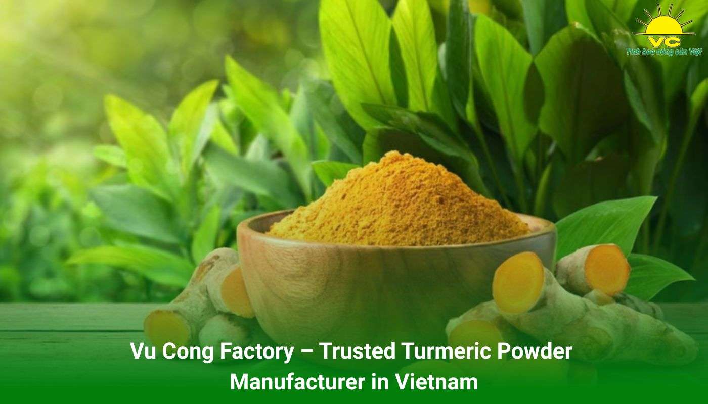 Vu Cong Factory – Trusted Turmeric Powder Manufacturer in Vietnam