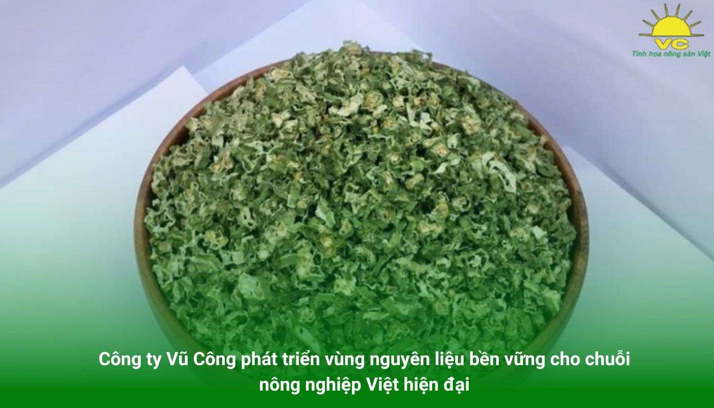 Công ty Vũ Công phát triển vùng nguyên liệu bền vững cho chuỗi nông nghiệp Việt hiện đại