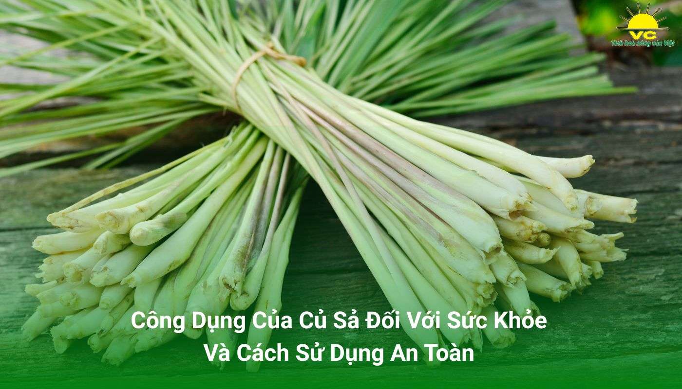 Công Dụng Của Củ Sả Đối Với Sức Khỏe Và Cách Sử Dụng An Toàn
