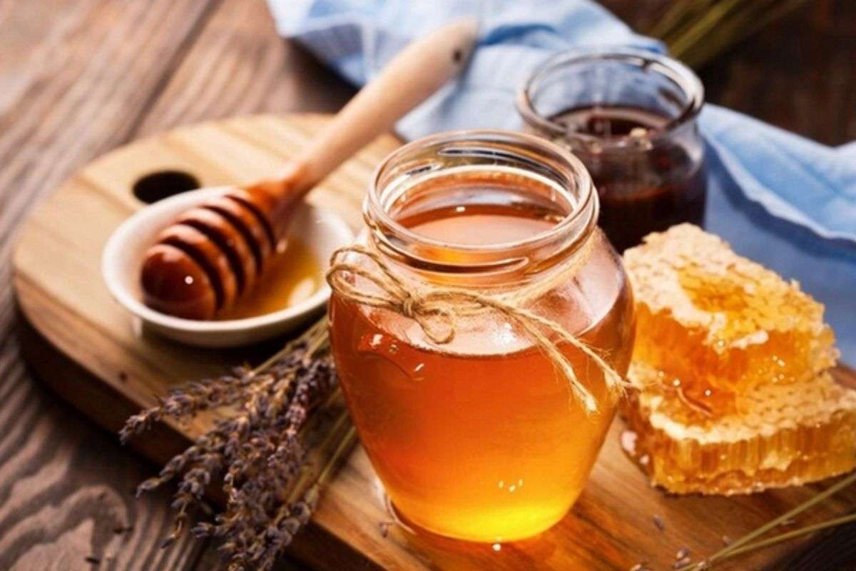 Nghệ Mật Ong Là Gì? 10+ Lợi Ích Nổi Bật Của Nghệ Mật Ong
