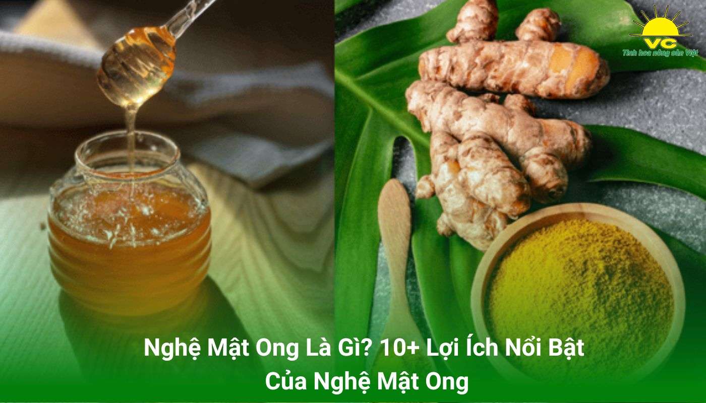 Nghệ Mật Ong Là Gì? 10+ Lợi Ích Nổi Bật Của Nghệ Mật Ong
