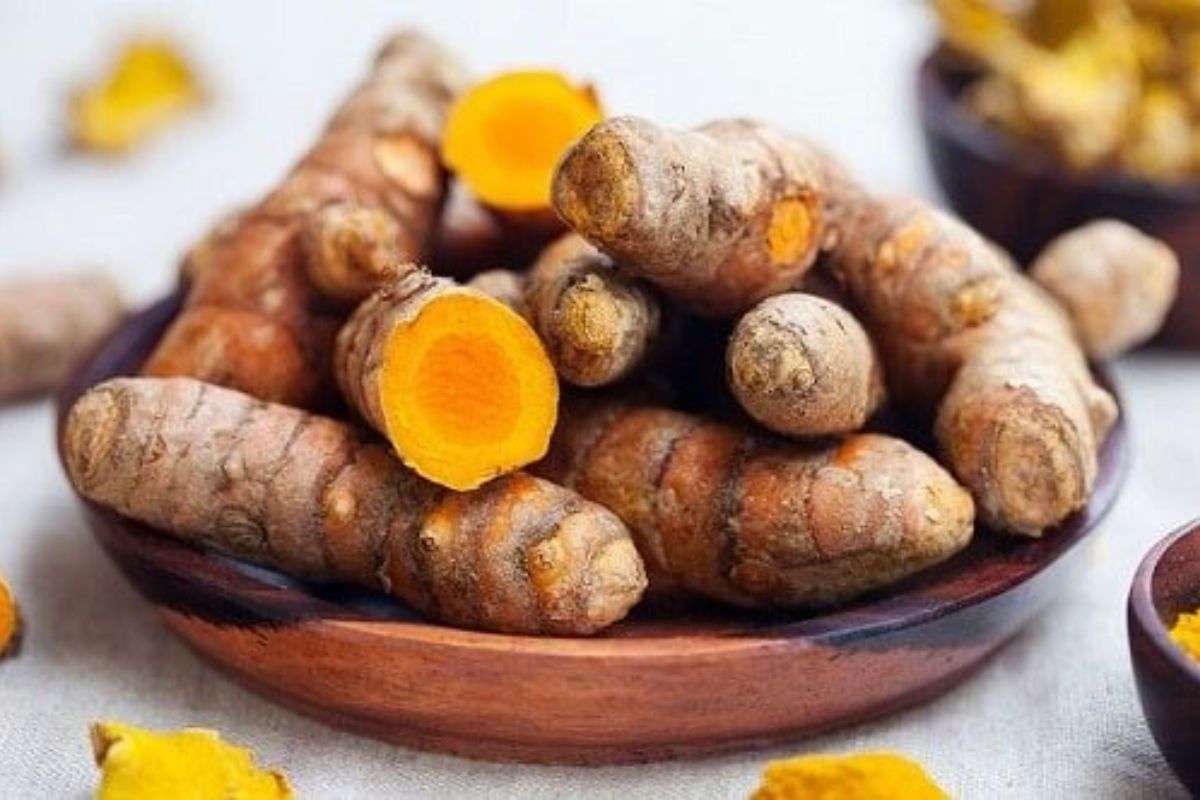 9+ Lợi Ích Đối Với Sức Khỏe Khi Ăn Nghệ Tươi