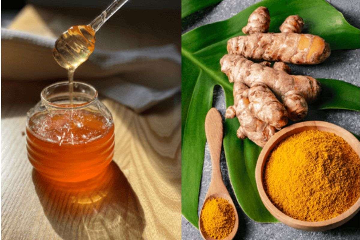 Nghệ Mật Ong Là Gì? 10+ Lợi Ích Nổi Bật Của Nghệ Mật Ong