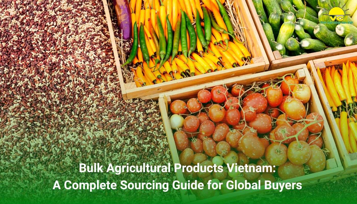 Bulk Agricultural Products Vietnam: A Complete Sourcing Guide for Global Buyers