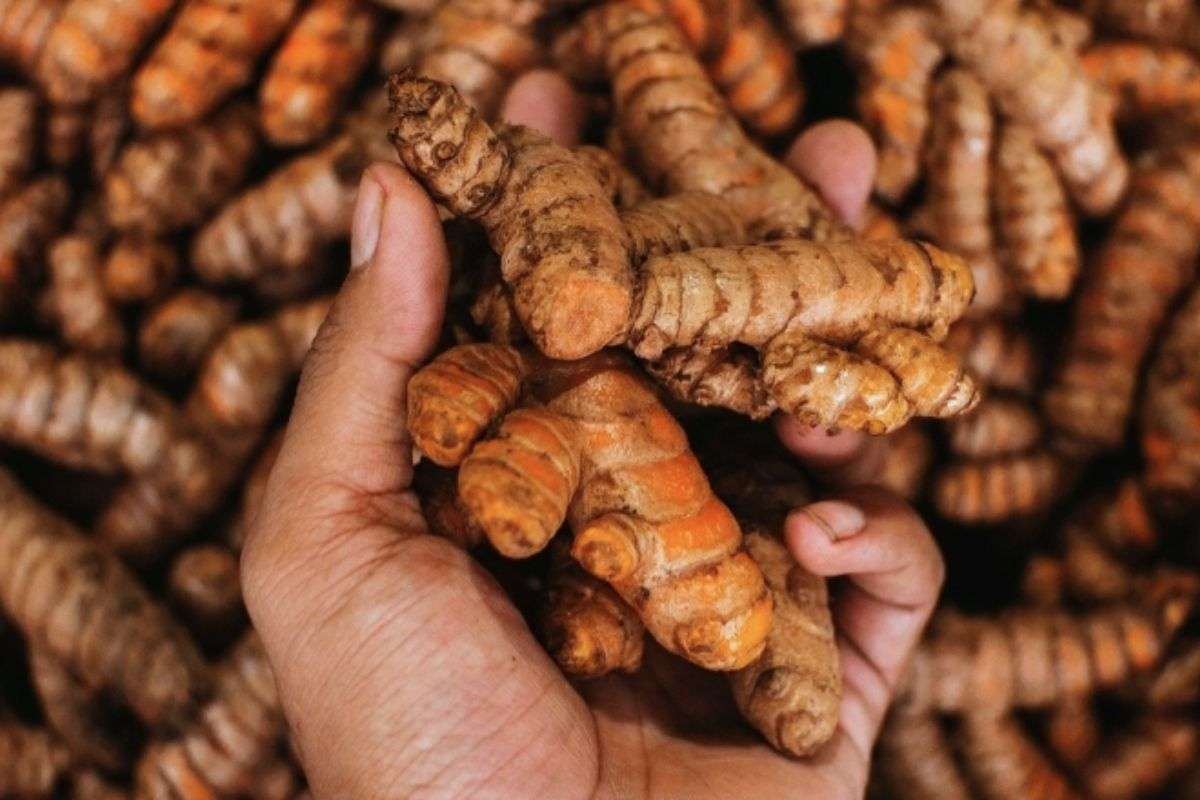 9+ Lợi Ích Đối Với Sức Khỏe Khi Ăn Nghệ Tươi