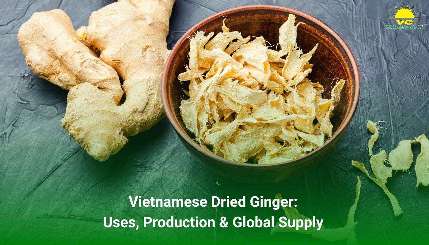 Dried Ginger Supplier