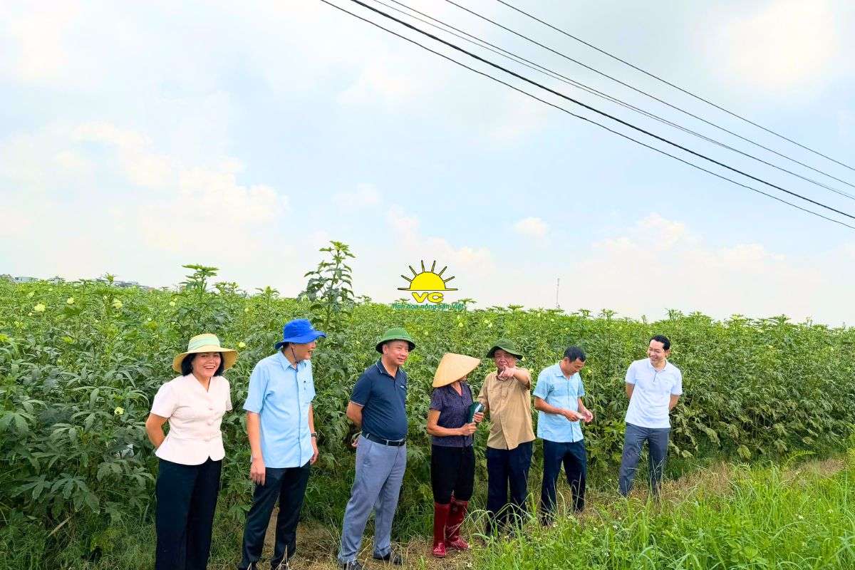 Vũ Công tham gia Vietnam International Sourcing 2026: Mở rộng kết nối, nâng tầm nông sản Việt