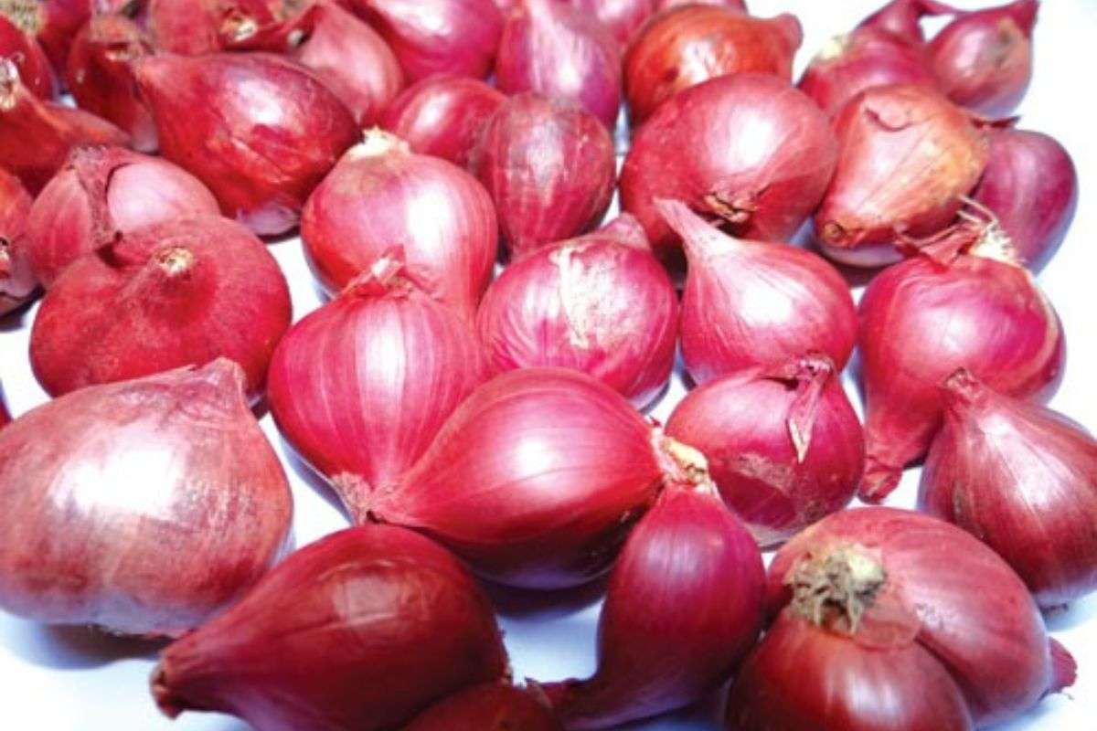 Củ hành hương là gì? Đặc điểm, công dụng & cách chọn