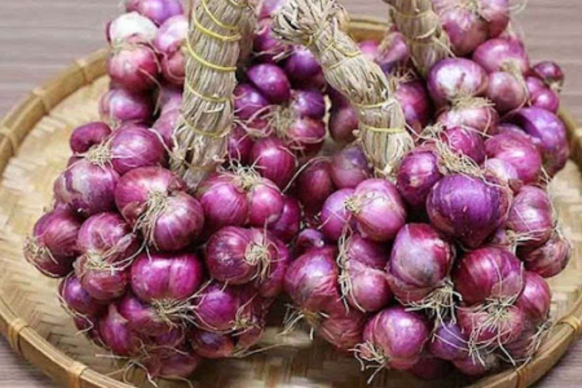 Củ hành hương là gì? Đặc điểm, công dụng & cách chọn