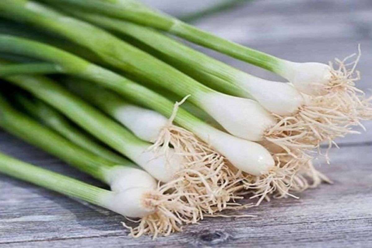 Hành củ và hành lá khác nhau như thế nào?
