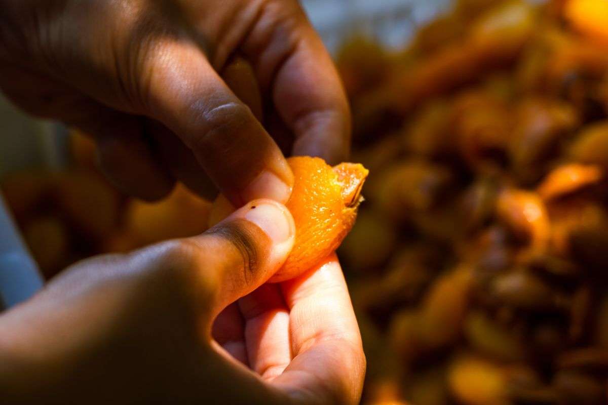 OEM Dried Food Manufacturer: Complete Guide to Choosing the Right OEM & Private Label Partner