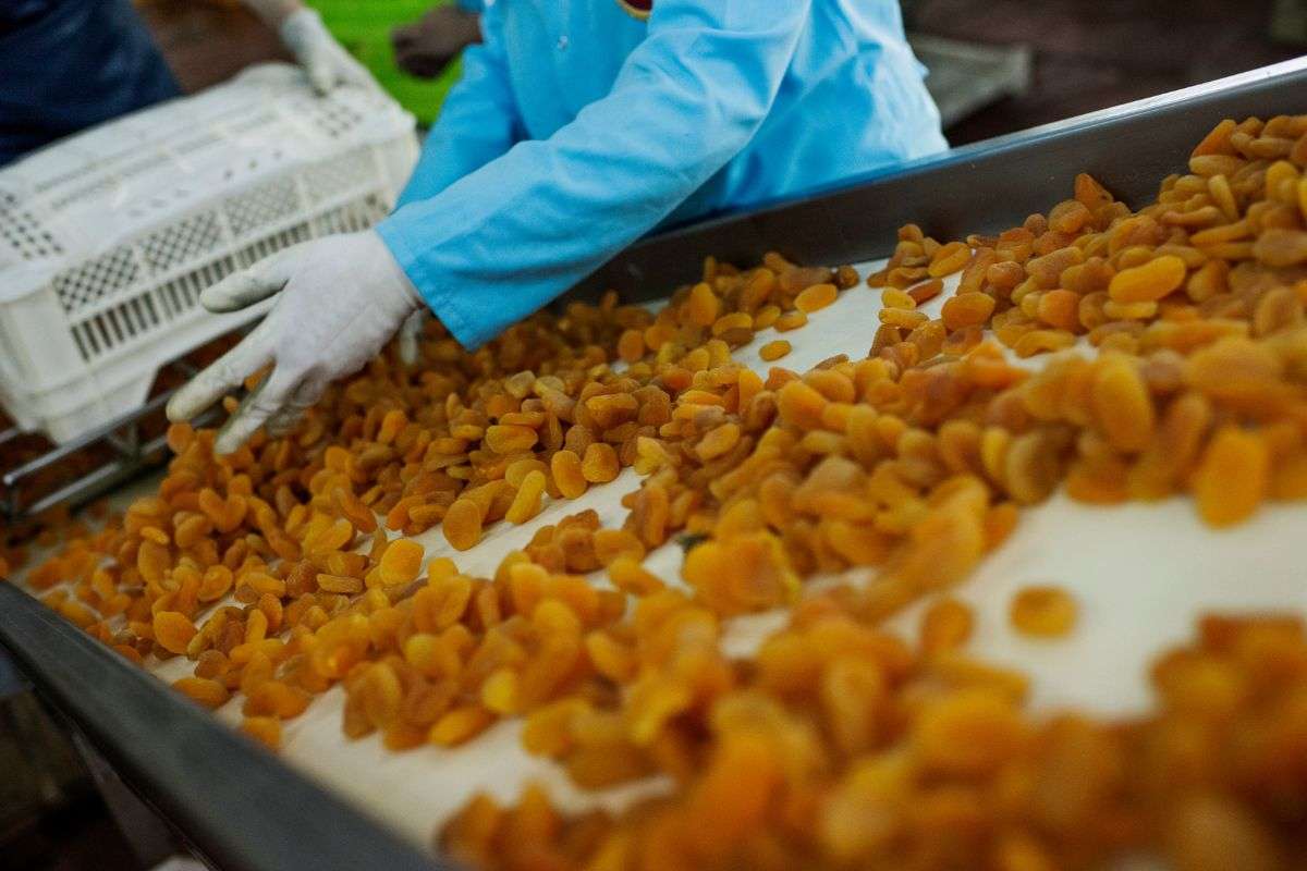 OEM Dried Food Manufacturer: Complete Guide to Choosing the Right OEM & Private Label Partner