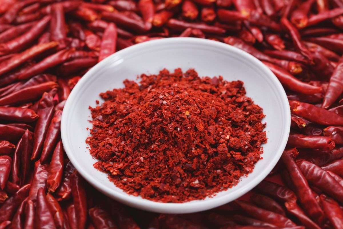 Wholesale Dried Food Supplier in Vietnam: What Global Buyers Should Know Before Sourcing
