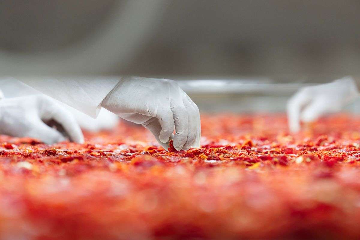 Wholesale Dried Food Supplier in Vietnam: What Global Buyers Should Know Before Sourcing